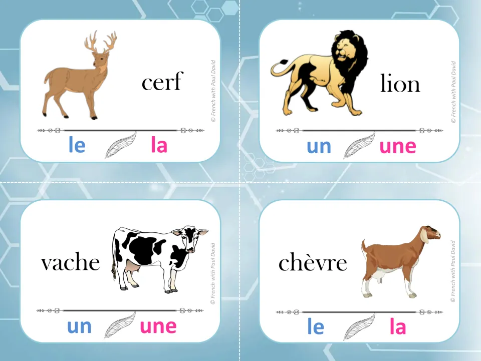 Animal noun gender: students clip the matching article for cerf, lion, vache and chèvre, choosing le/la or un/une