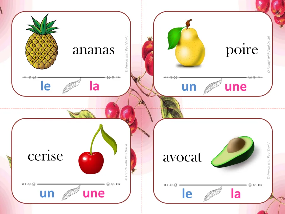 Fruit noun gender: students clip the correct article for ananas, poire, cerise and avocat on picture cards