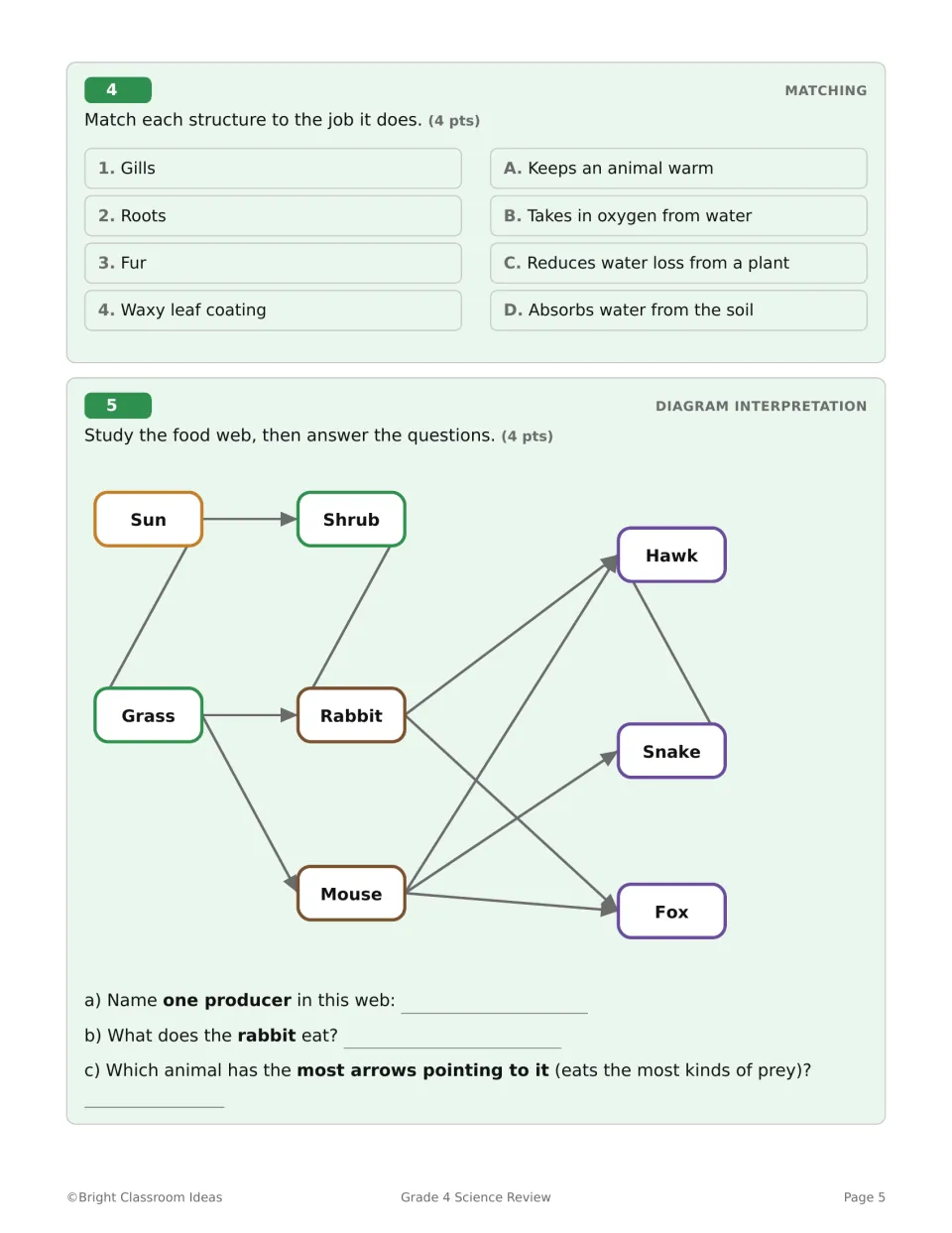 Life Science questions 4–5 match structures to their jobs and use a food web to identify producers and prey