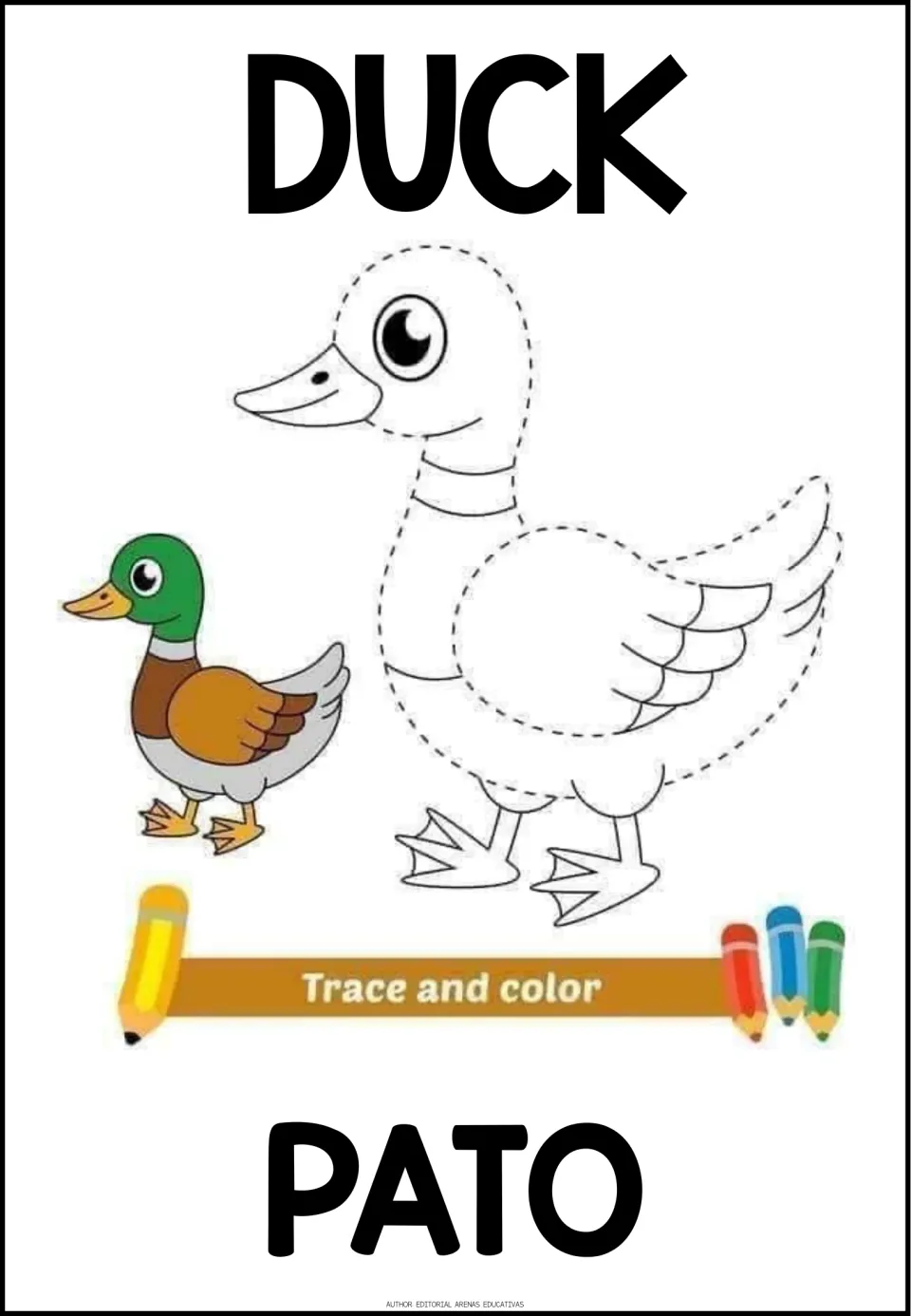 Animal activity 2 of 5: duck outline to trace and color, a colored example, and labels DUCK and PATO (duck)