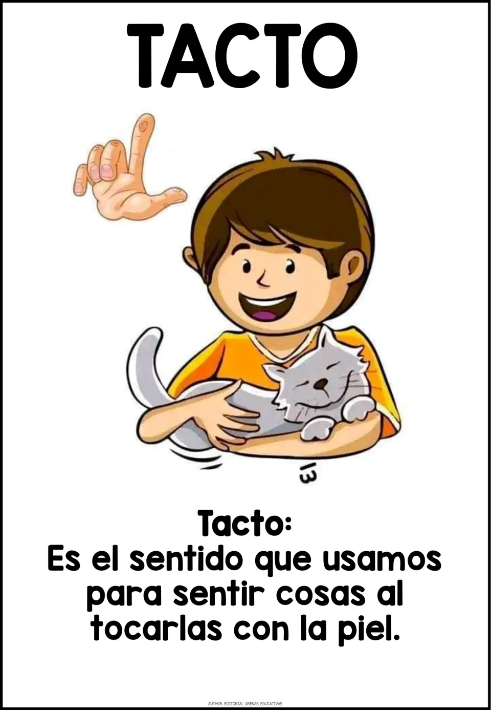 Tacto poster: a boy hugs a cat above the Spanish definition of touch as the sense we use to feel things with our skin