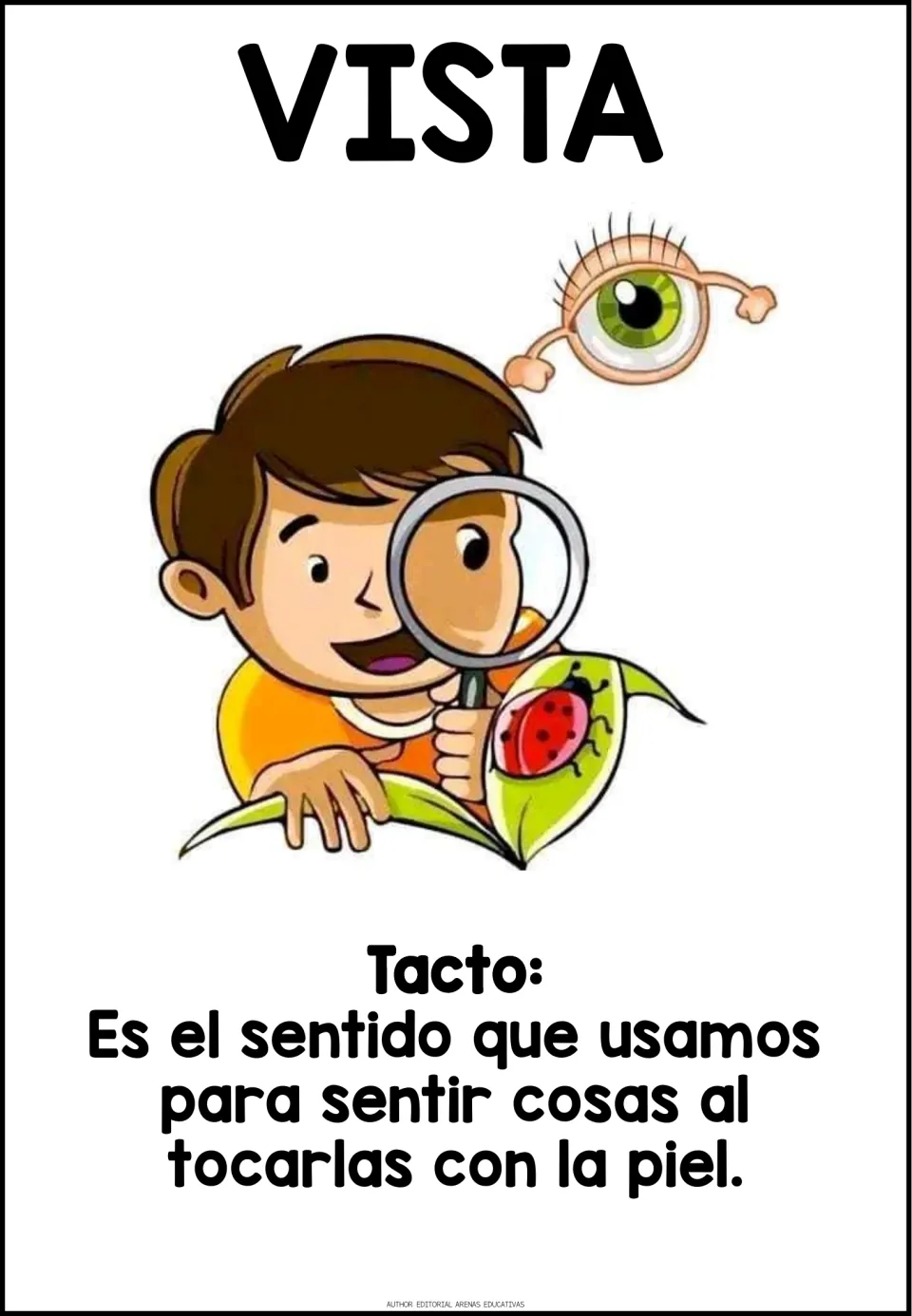 Vista poster: a boy views a ladybug through a magnifying glass beside an eye; the text below repeats the Tacto definition