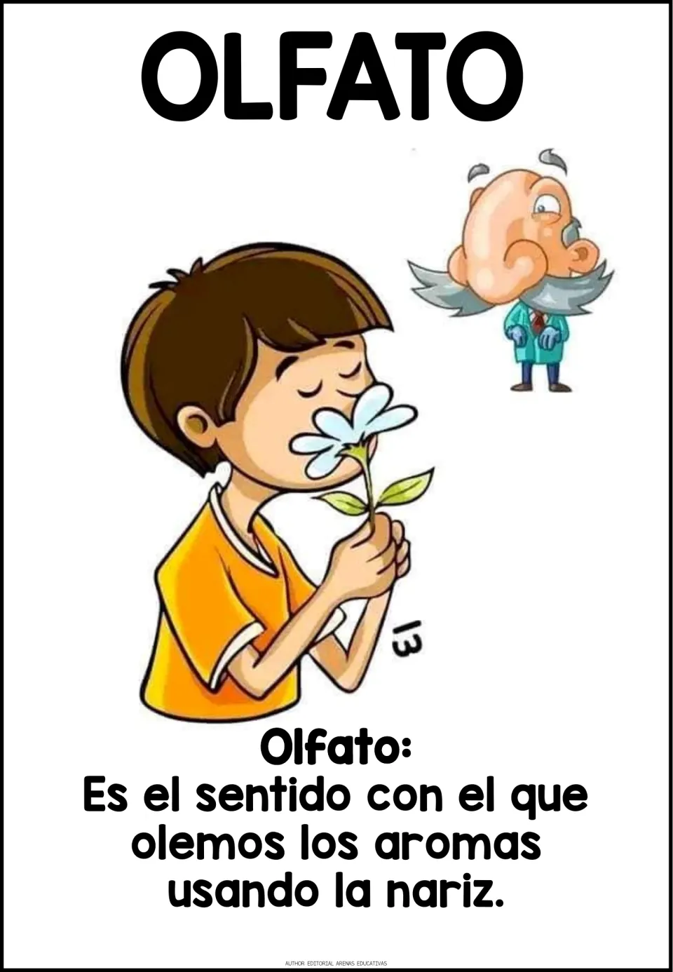 Olfato poster: a boy smells a flower next to a big-nosed cartoon man, with a Spanish definition of smelling with the nose