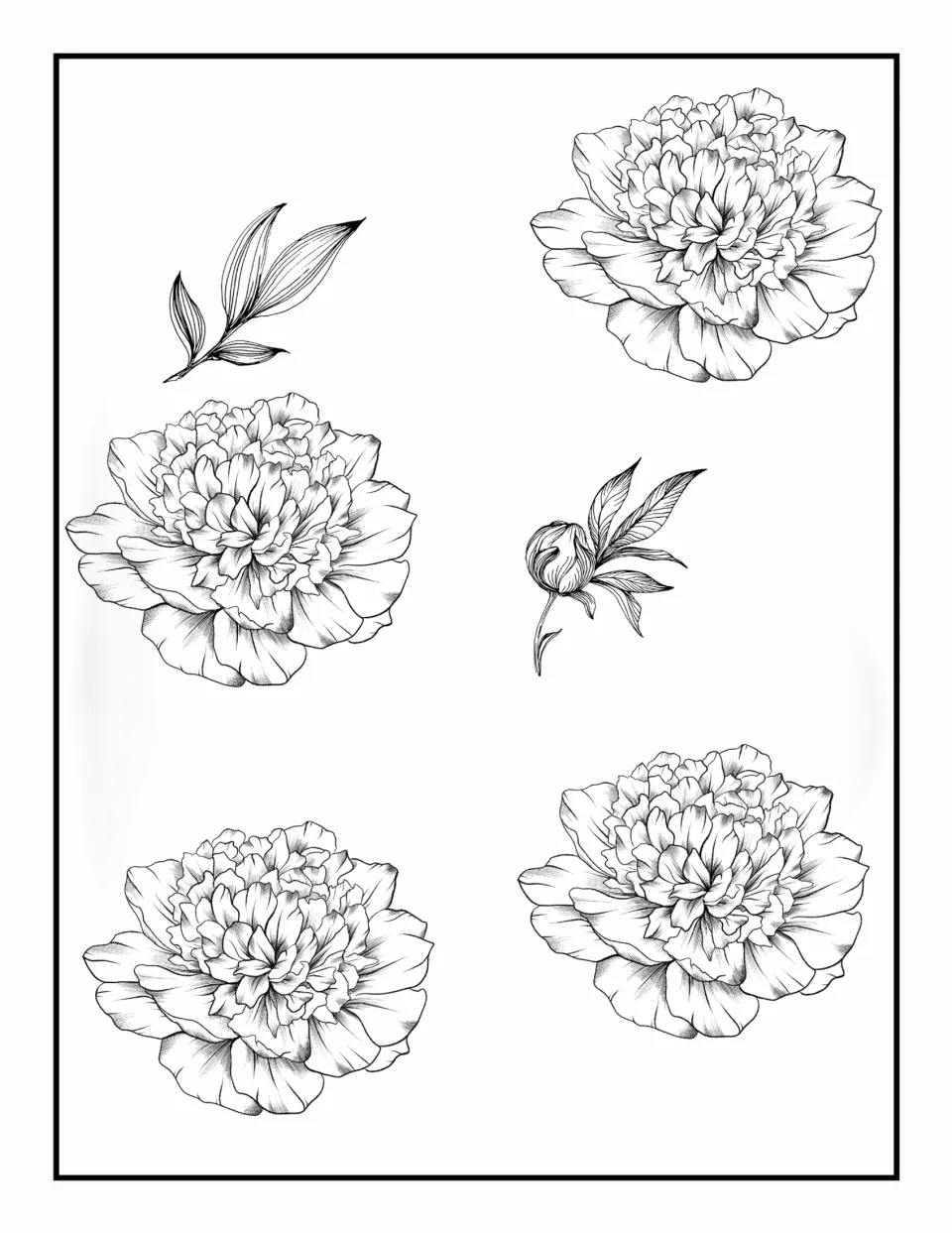 Flower coloring book page 1: four open blooms with layered petals, a closed bud, and a leafy sprig