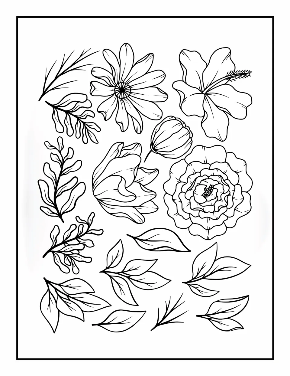 Flower coloring book page 2: assorted blooms, including a hibiscus and a daisy-like flower, plus leaves
