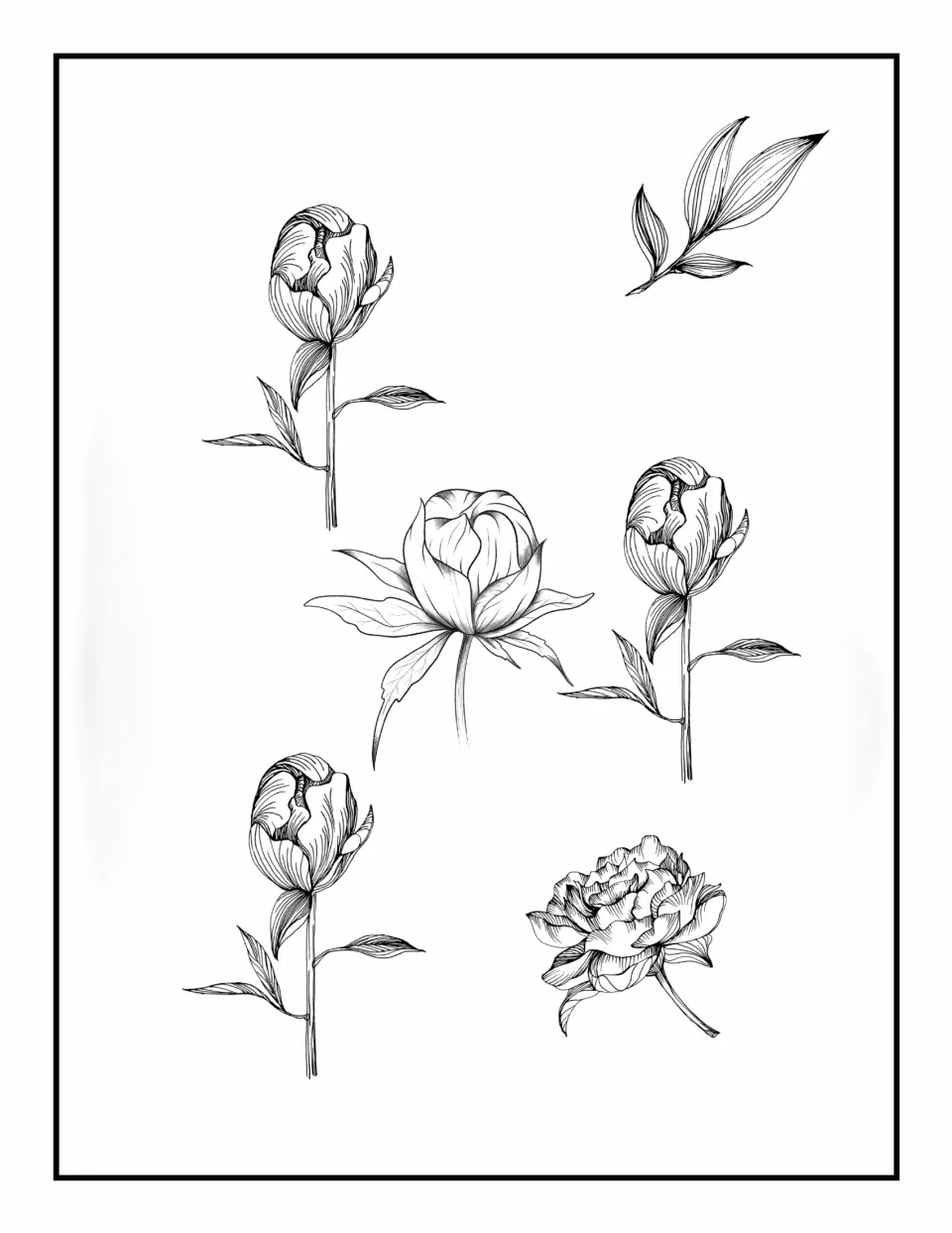 Flower coloring book page 3: three matching upright buds, a rounded bud, an open bloom, and a leaf sprig