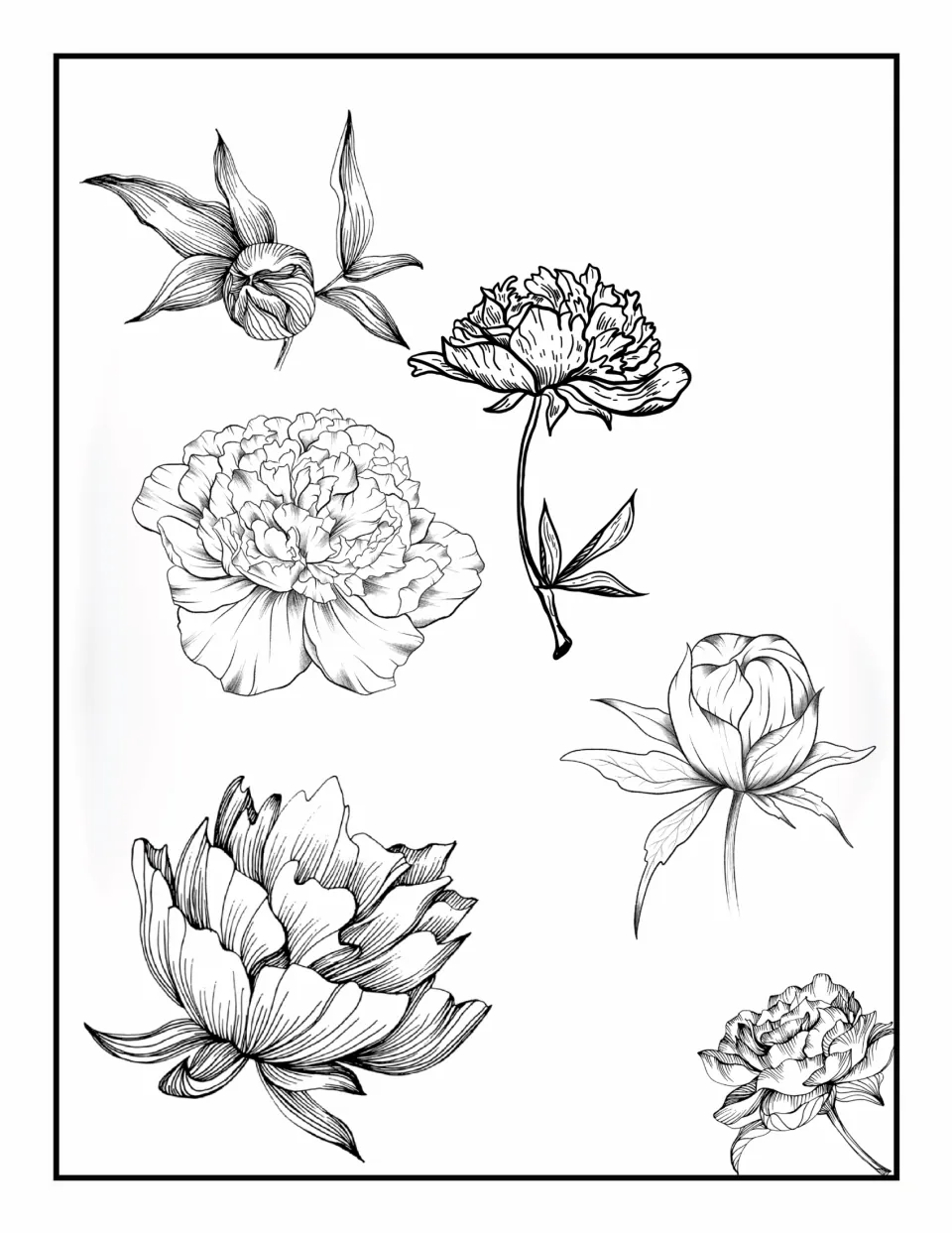 Flower coloring book page 4: varied open blooms and closed buds, including a flower on a curved stem