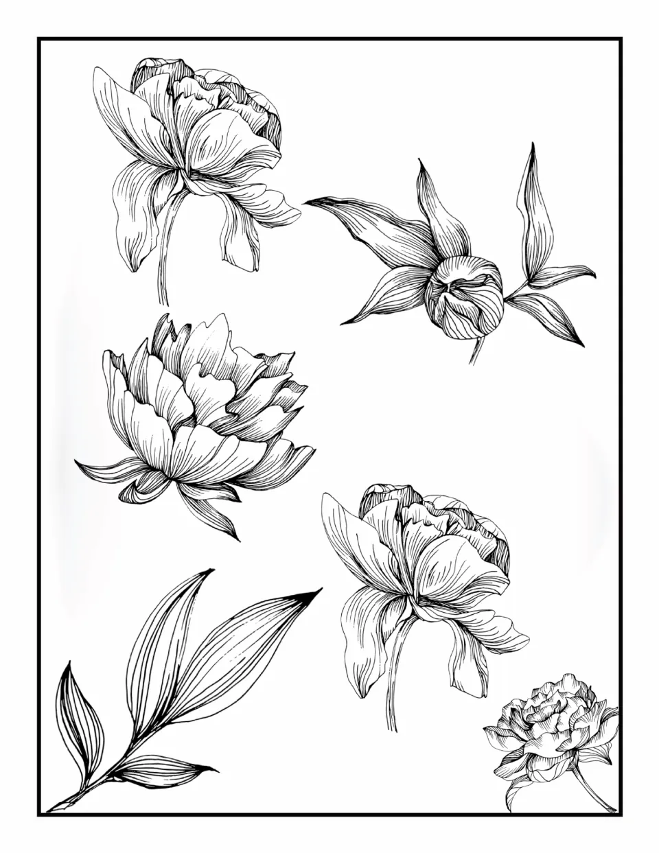 Flower coloring book page 6: two matching stemmed blooms, a layered flower, a leafy bud, and a sprig