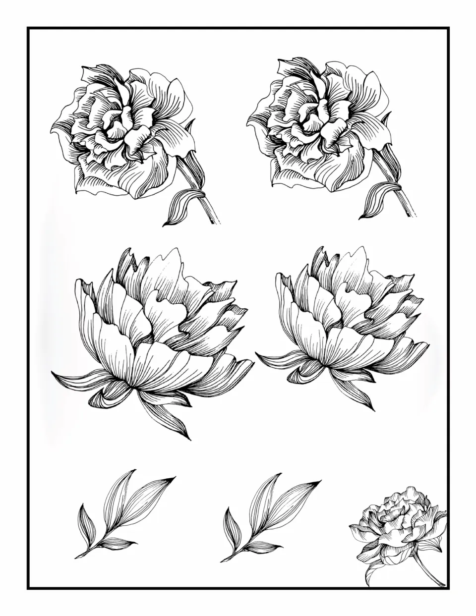 Flower coloring book page 8: paired ruffled blooms on stems, paired side-view flowers, and two sprigs