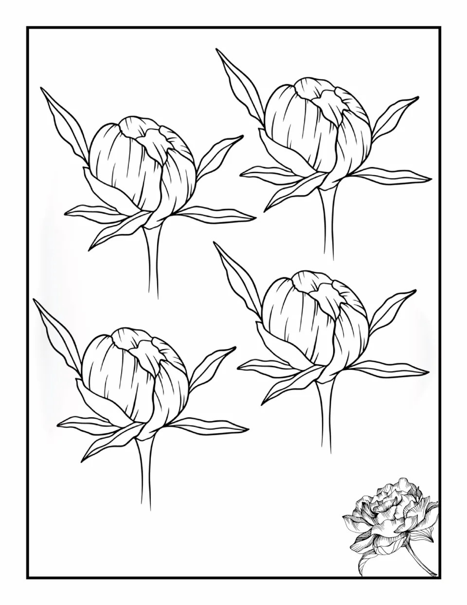 Flower coloring book page 10: four matching rounded buds with pointed leaves, stems, and simple outlines