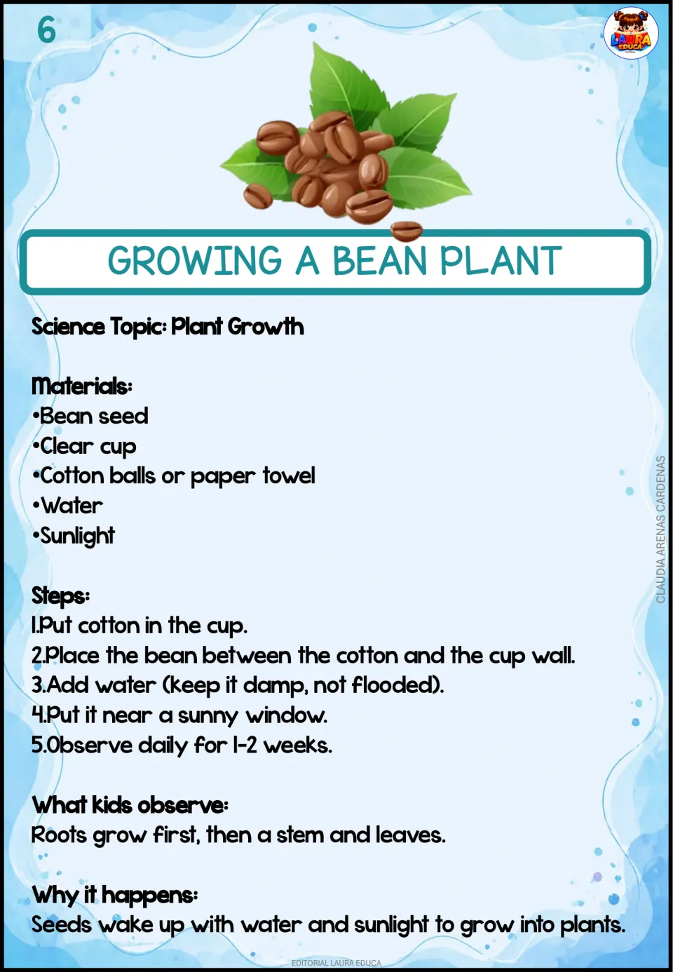Growing a bean plant: kids place a bean in damp cotton in a clear cup by a sunny window and observe roots, stem and leaves
