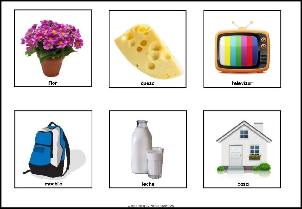 Spanish nouns for home and food: picture cards for flor, queso, televisor, mochila, leche and casa with color photos