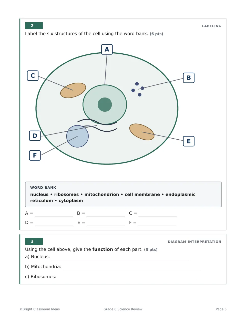 Cell structures: students label six parts of a cell diagram from a word bank, then explain what three organelles do