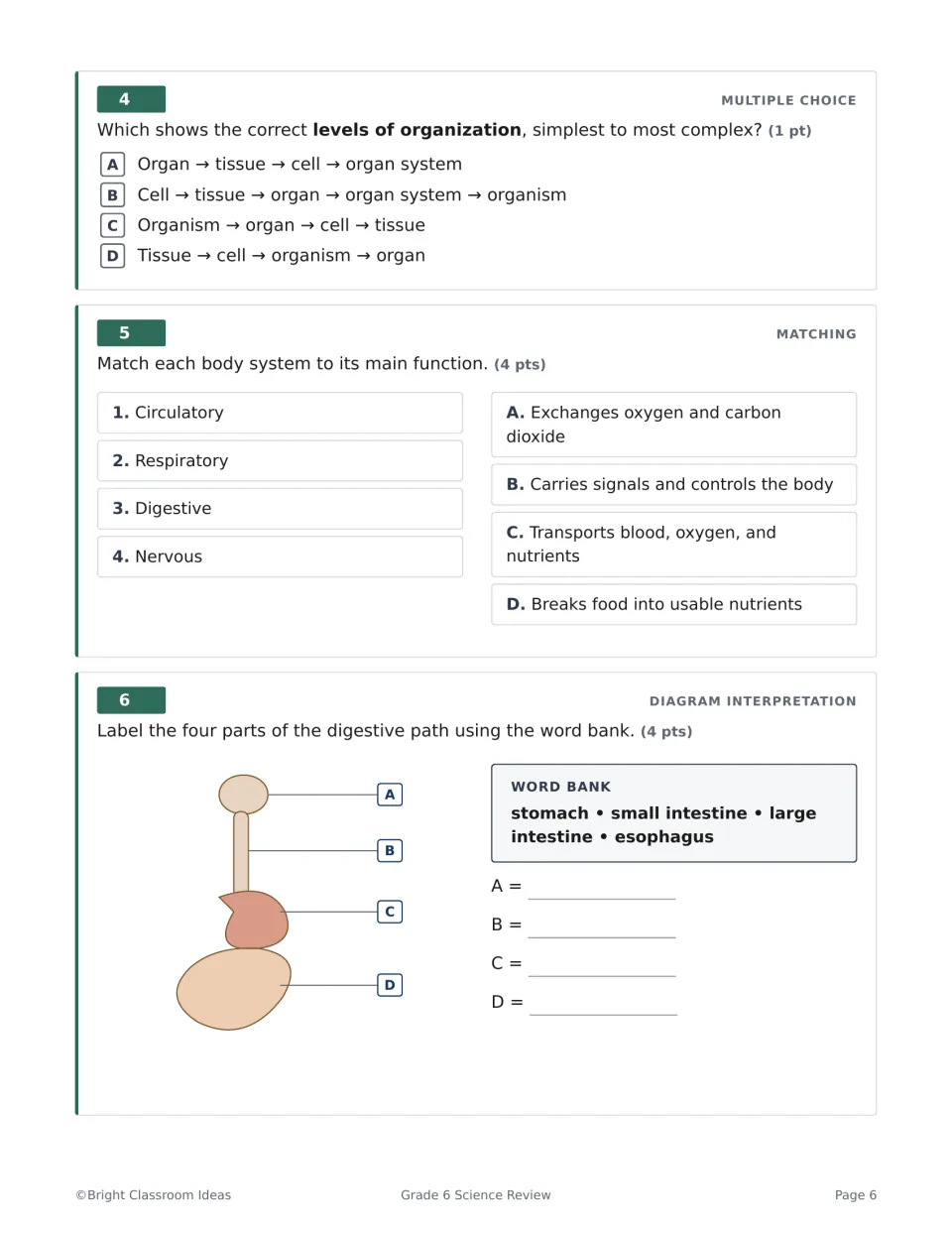 Body systems: students order levels of organization, match four systems to functions and label the digestive path