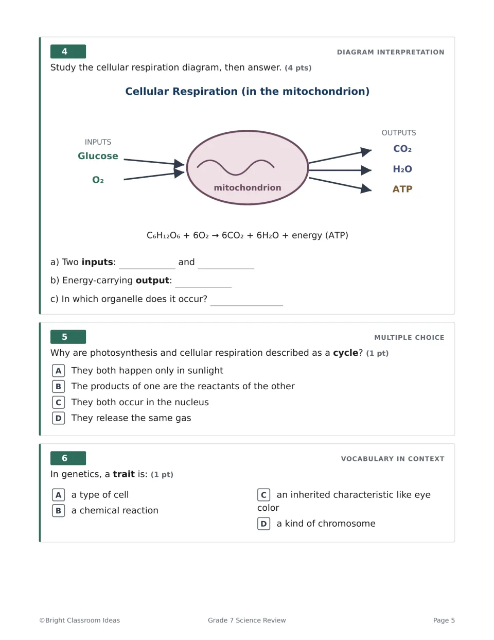 Cellular respiration Q4-6: students read a mitochondrion diagram for inputs and ATP, then answer cycle and trait questions