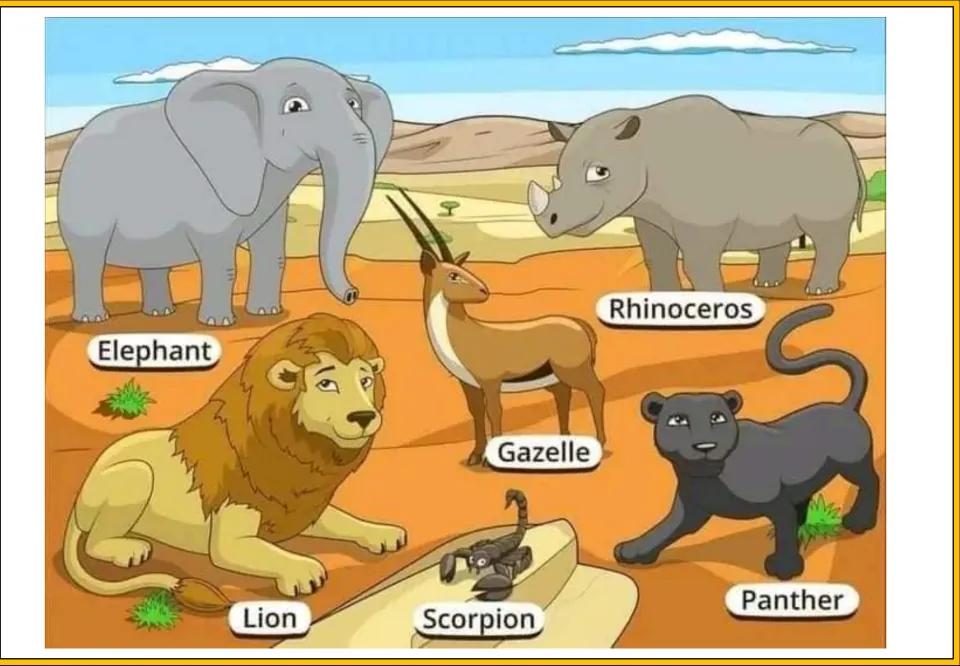 Dry plains poster naming animals: elephant, rhinoceros, gazelle, lion, scorpion and panther, each with a word label
