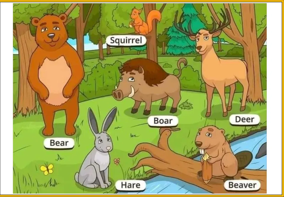 Forest poster naming animals: bear, squirrel, boar, deer, hare and a beaver on a log by a stream, each with a word label