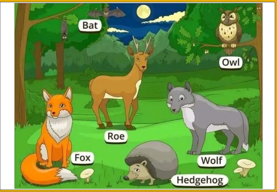 Woodland at night poster naming animals: bat, owl, roe, fox, wolf and hedgehog under a full moon, each with a label