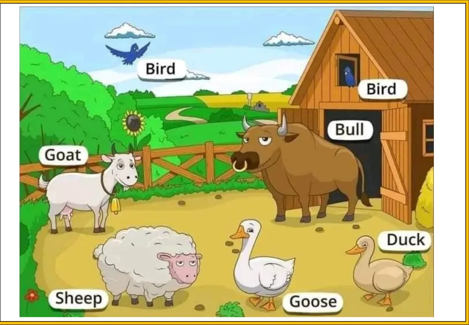 Farmyard poster naming animals by a barn: two birds, goat, bull, sheep, goose and duck, each with a word label