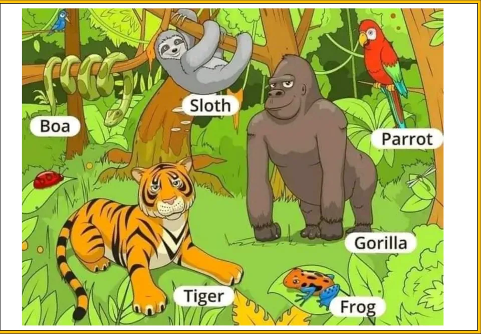 Rainforest poster naming animals: boa, sloth, gorilla, parrot, tiger and frog among jungle trees and vines