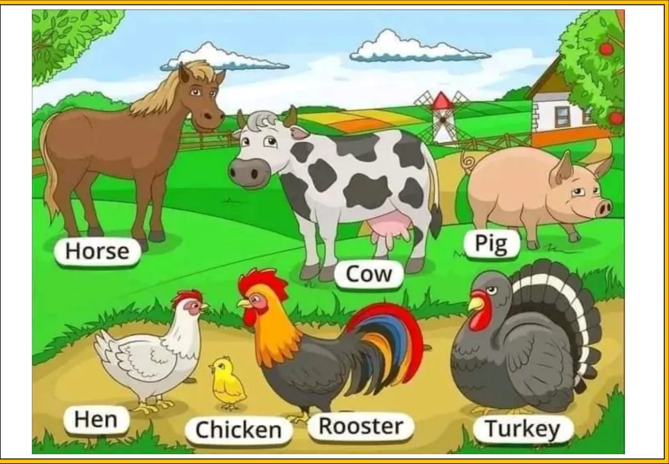 Farm field poster naming animals: horse, cow, pig, hen, chick labeled chicken, rooster and turkey near a windmill