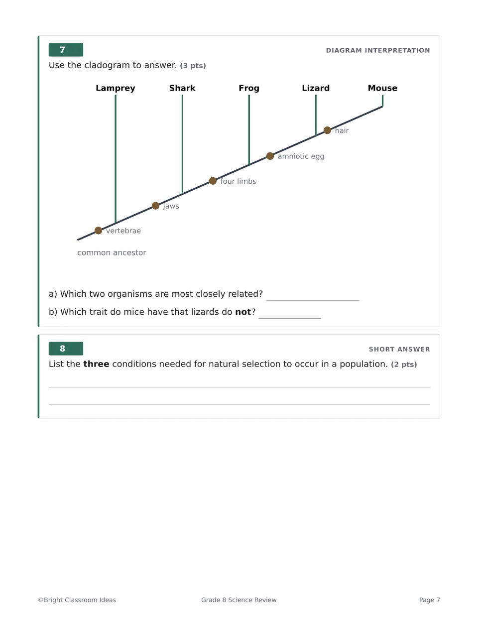 Evolution Q7-8: students read a cladogram of lamprey to mouse, then list the three conditions for natural selection