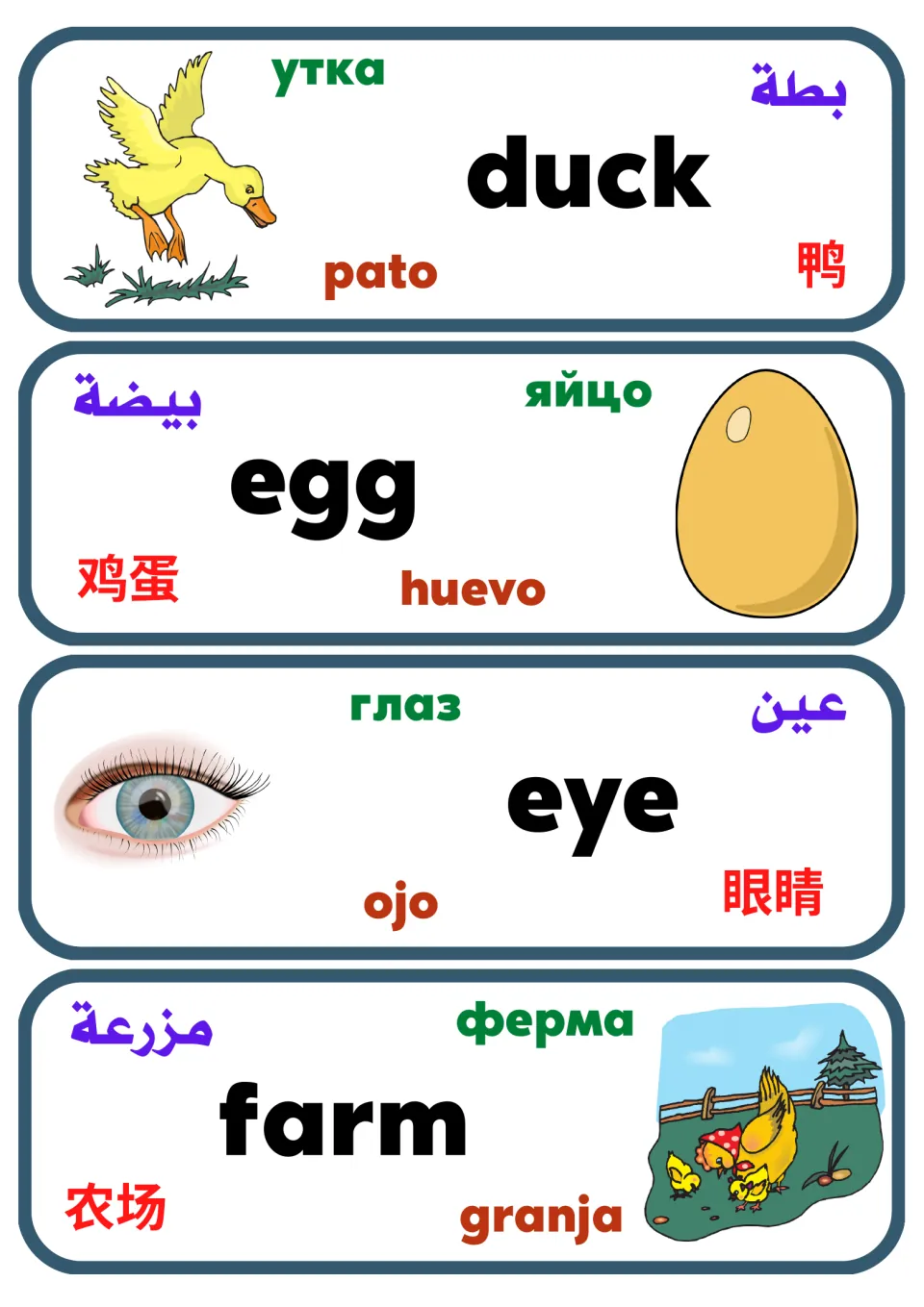 Multilingual noun flashcards 29–32: duck, egg, eye, and farm, with pictures and four translations.