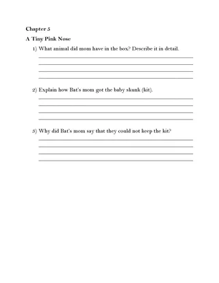 A Boy Called Bat-Chapter Questions – sample page 2