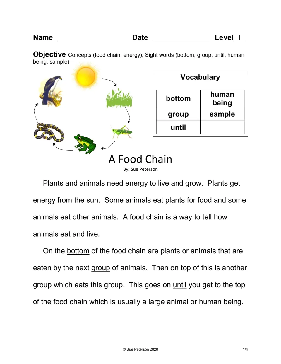 Food chain energy reading: students read how plants get energy from the sun and learn sight words like bottom and until