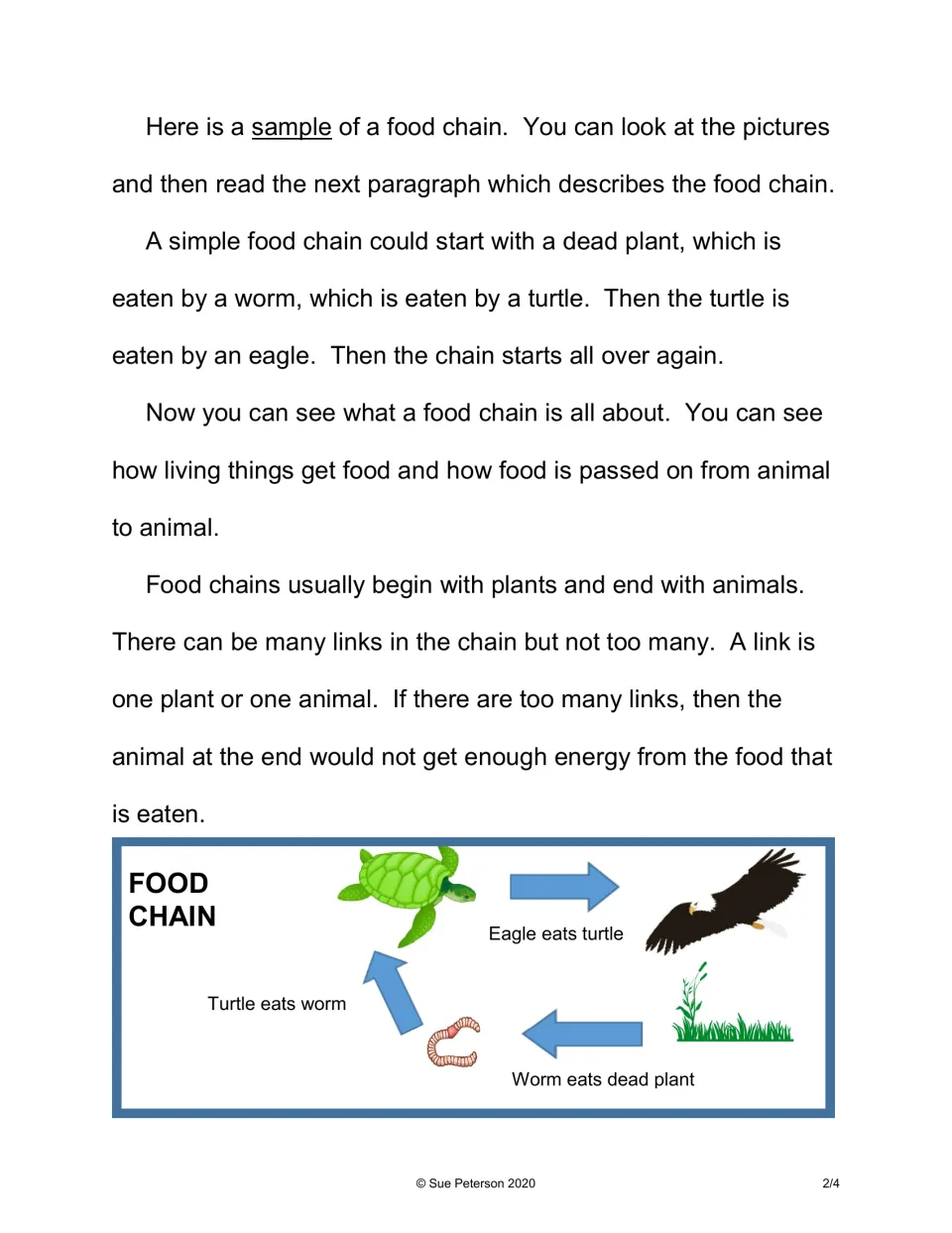 Sample food chain passage: students read about links, then follow a diagram from dead plant to worm, turtle and eagle