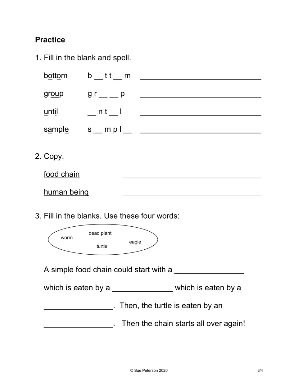 Sight word practice: students fill in letters for bottom, group, until, sample, copy terms and finish a cloze passage