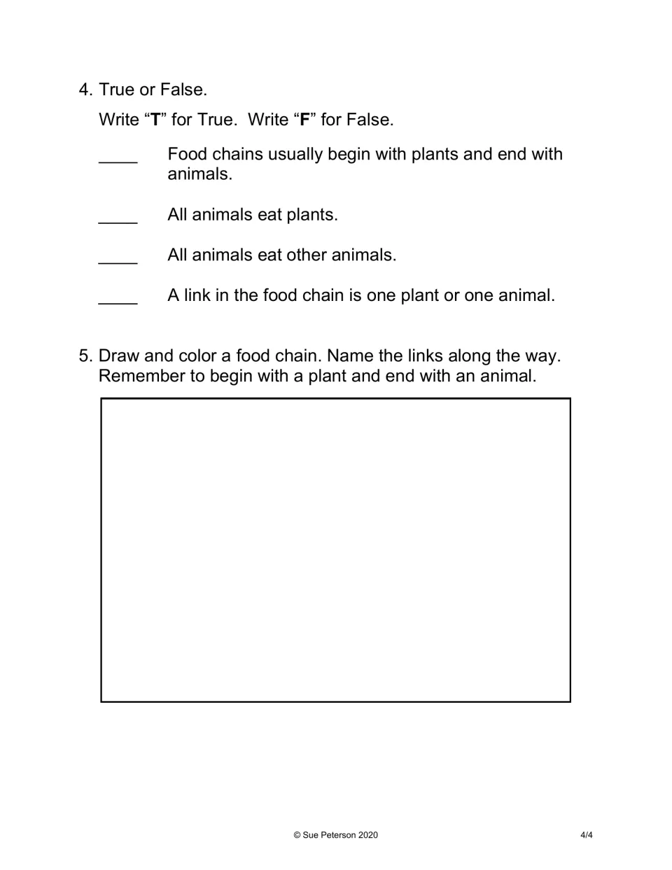 Food chain comprehension check: students mark four statements true or false, then draw and color a labeled food chain