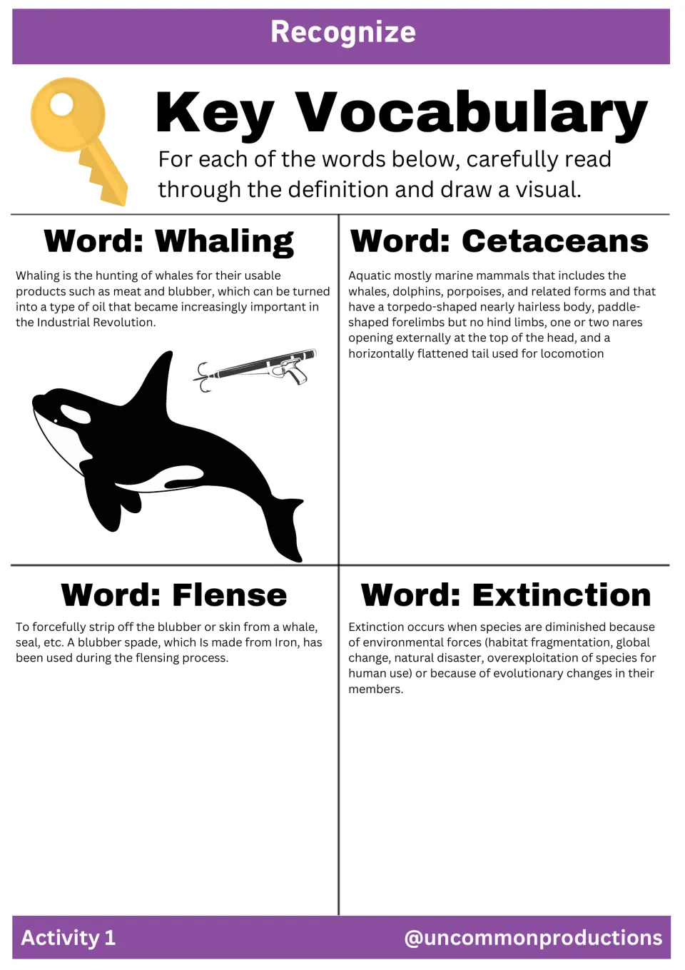 Activity 1 vocabulary practice defines whaling, cetaceans, flense, and extinction for students to illustrate