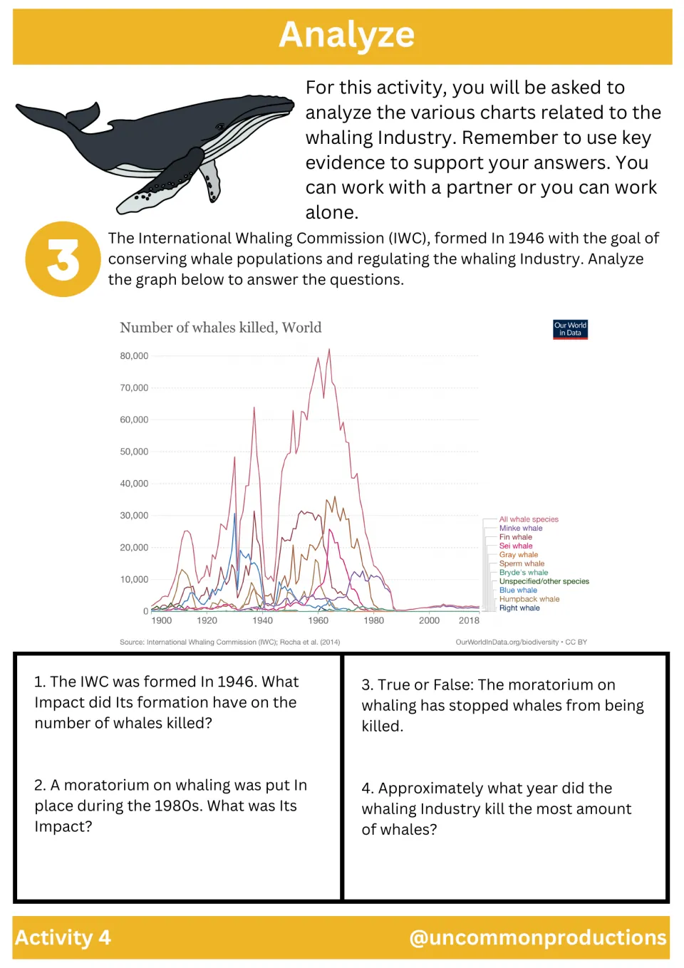 Activity 4 graphs whales killed from 1900 to 2018 and asks about the IWC, the whaling moratorium, and peak kills