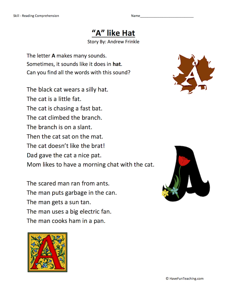 A Like Hat Reading Comprehension Worksheet teaching resource preview