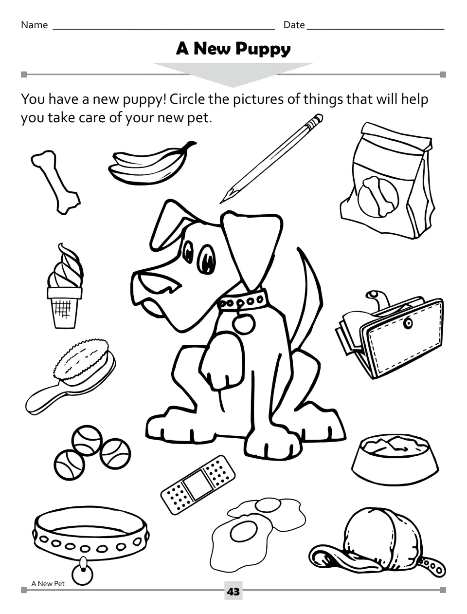 A New Puppy activity: circle pictures of pet-care items, choosing from dog food, a brush, balls, and more