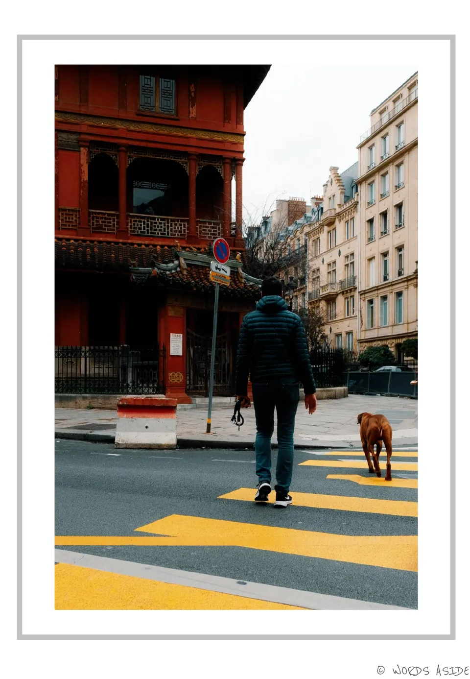 Story photo for AAC picture description: a man and dog crossing a city street with yellow road markings