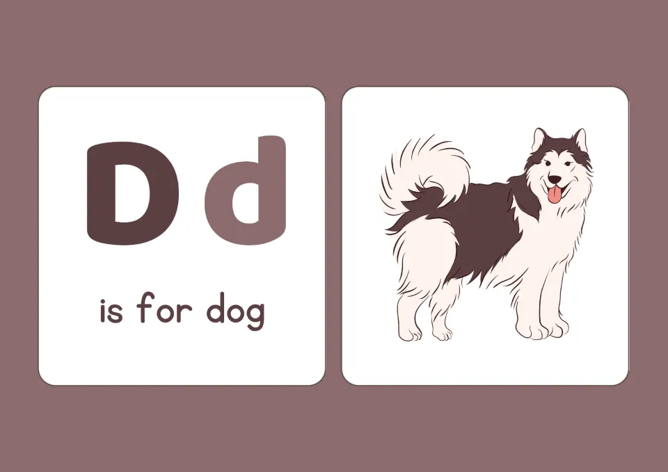 Letter D: big D and little d with the phrase is for dog next to a fluffy husky-type dog, pairing the letter with a word