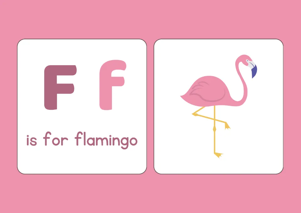 Letter F: uppercase F and lowercase f with the words is for flamingo beside a pink flamingo standing on one leg