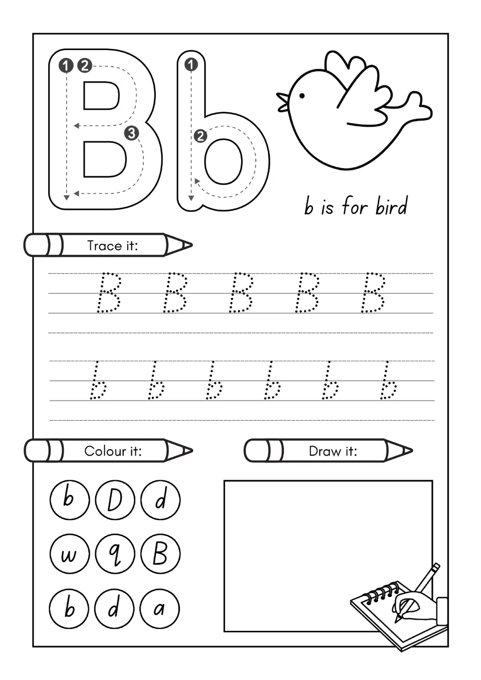 Letter B practice page: trace uppercase B and lowercase b, find letters to color, and draw; b is for bird.