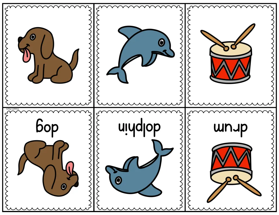 Letter D picture-word cards for dog, dolphin and drum to cut and fold, pairing each picture with its beginning-sound word