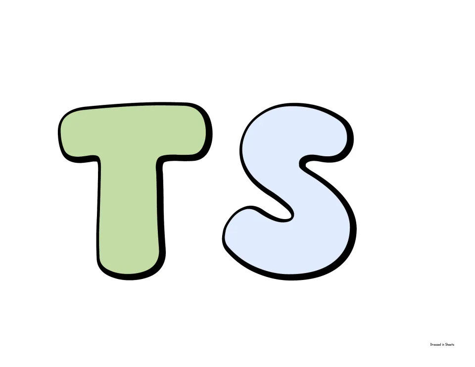 Bubble letters T and S in green and light blue, a cut-out piece that finishes the word Accomplishments