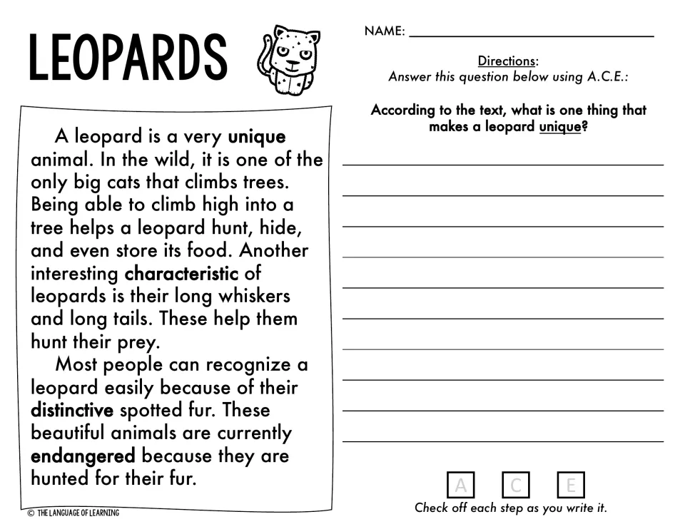 Leopards reading passage: students use A.C.E. to answer what makes a leopard unique, citing evidence from the passage