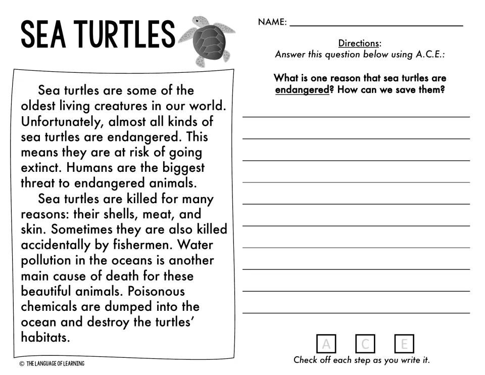 Sea turtles passage: students answer a two-part A.C.E. question on why sea turtles are endangered and how to save them