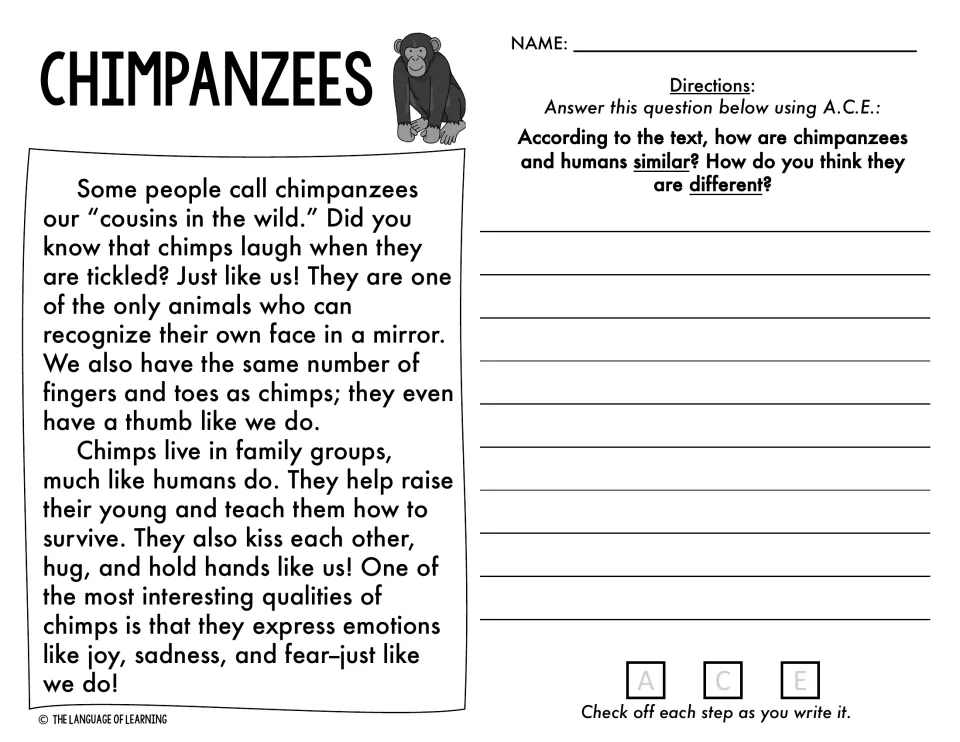Chimpanzees passage: students compare chimps and humans in an A.C.E. response, citing similarities and noting differences