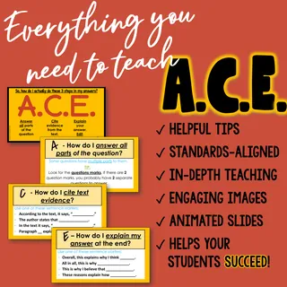 ACE Strategy - Teaching Guide Presentation & Practice – preview 3