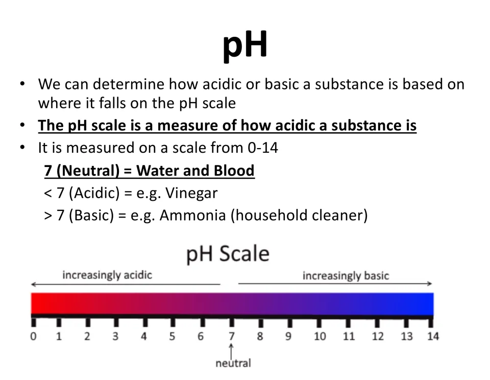 pH scale from 0 to 14 with 7 neutral (water, blood), vinegar as acidic and ammonia as basic, shown on a color bar