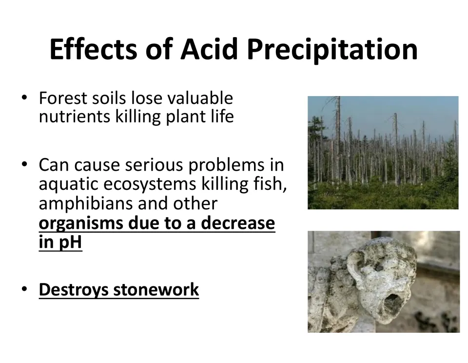 Effects of acid precipitation: forest soils lose nutrients, aquatic life dies as pH drops, and stonework erodes