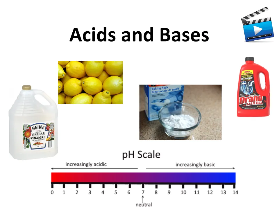 Acids and bases intro slide: vinegar, lemons, baking soda and drain cleaner shown above a pH scale from 0 to 14