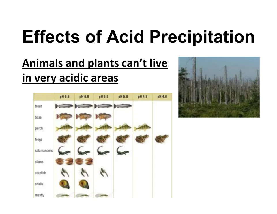 Effects of acid precipitation: chart showing which animals from trout to frogs live at pH 6.5 to 4.0, and a dead forest
